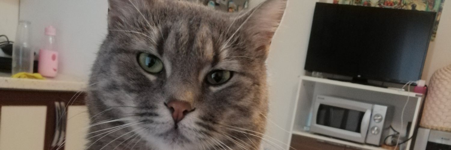 denzbeenk's profile banner image