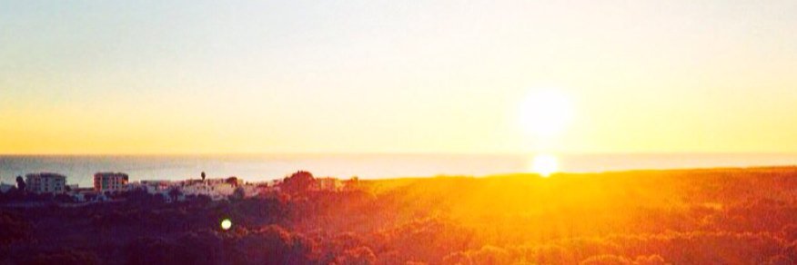 MarianBotella's profile banner image