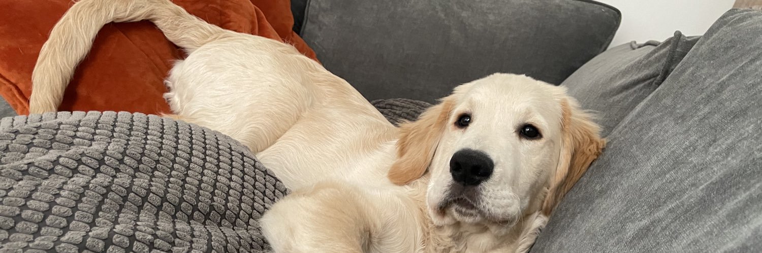 OliHedley's profile banner image