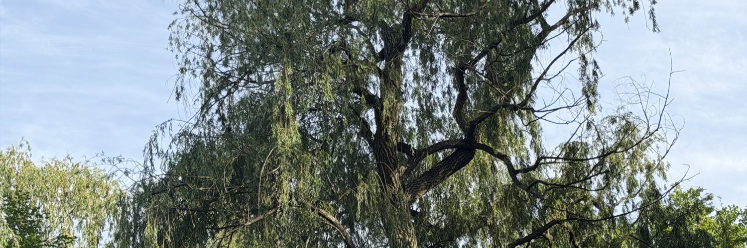 Klingadingdong's profile banner image