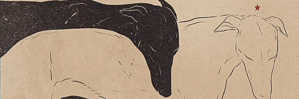 Manoassz's profile banner image