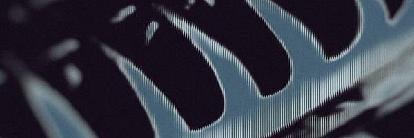 Bayanov74 Profile Banner