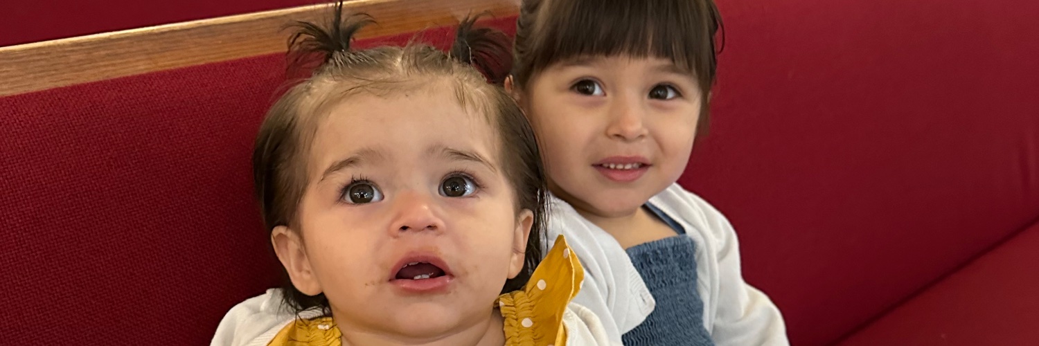Nicholeburrito's profile banner image
