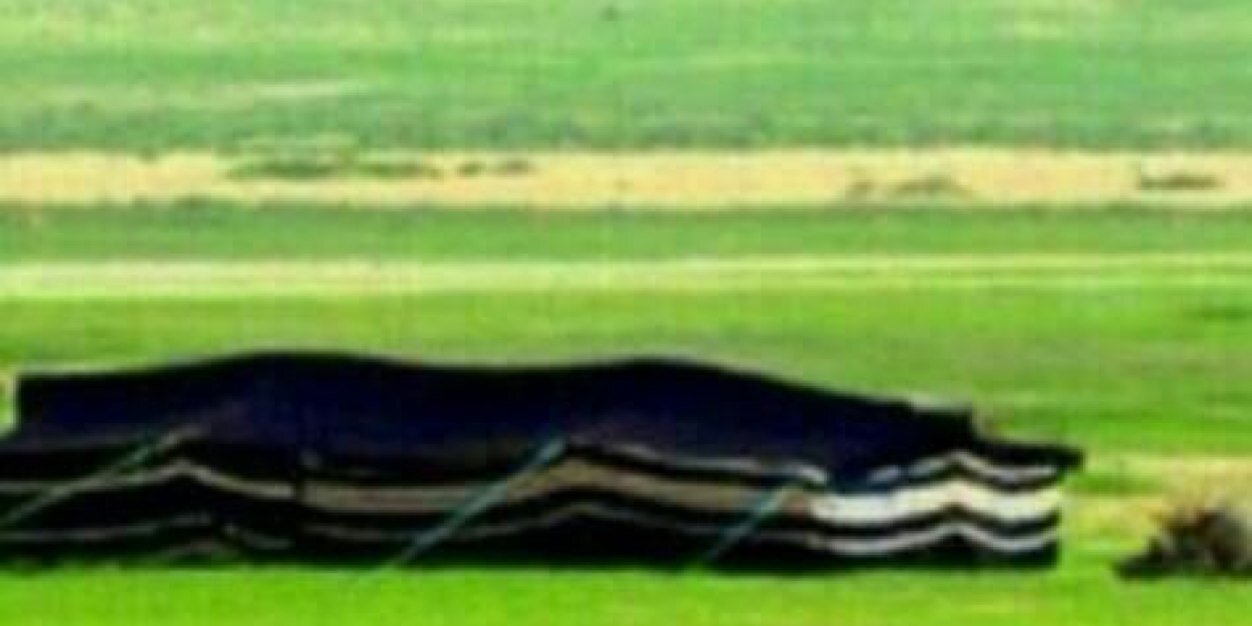 سعودعبدالله الحلفي banner