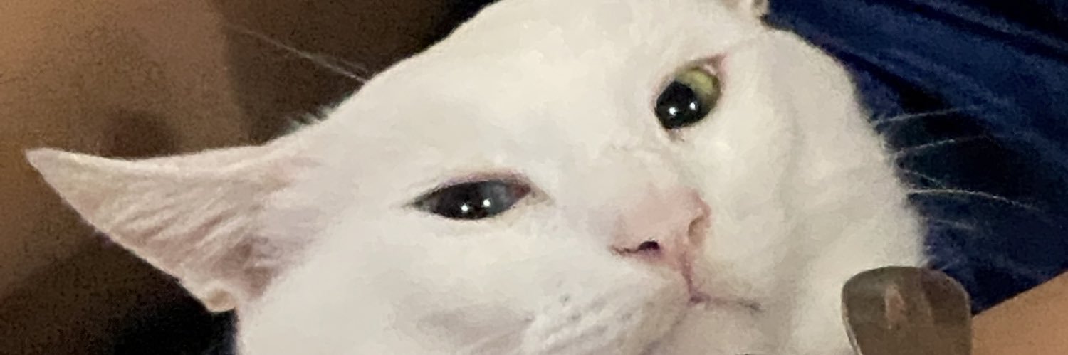 jdlumali's profile banner image