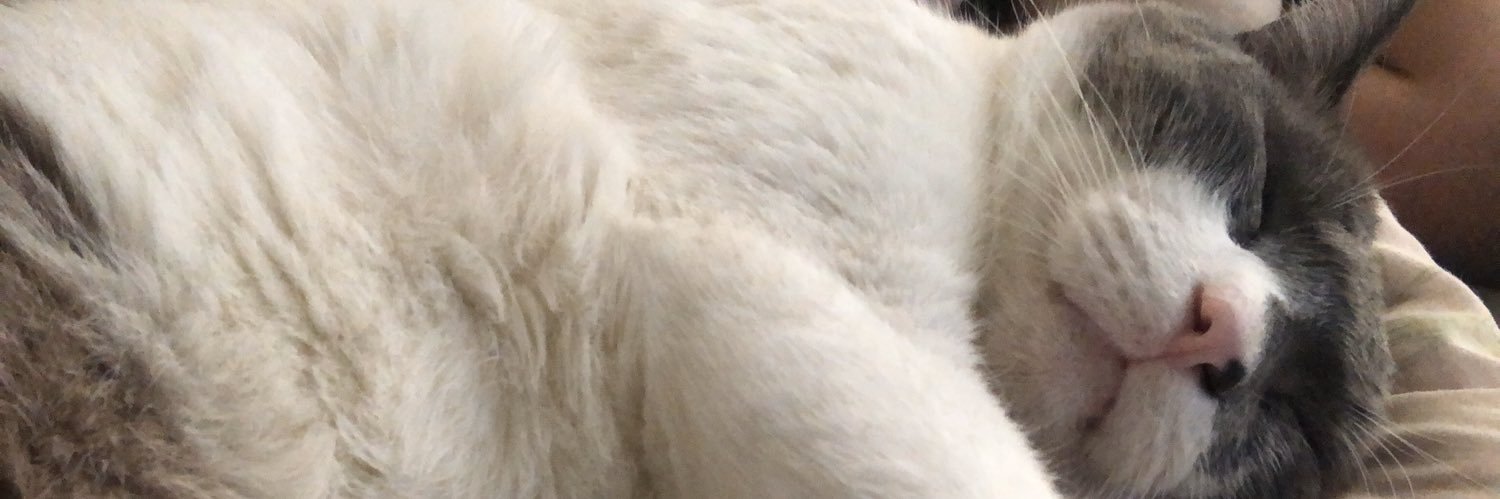 RenataMG75's profile banner image