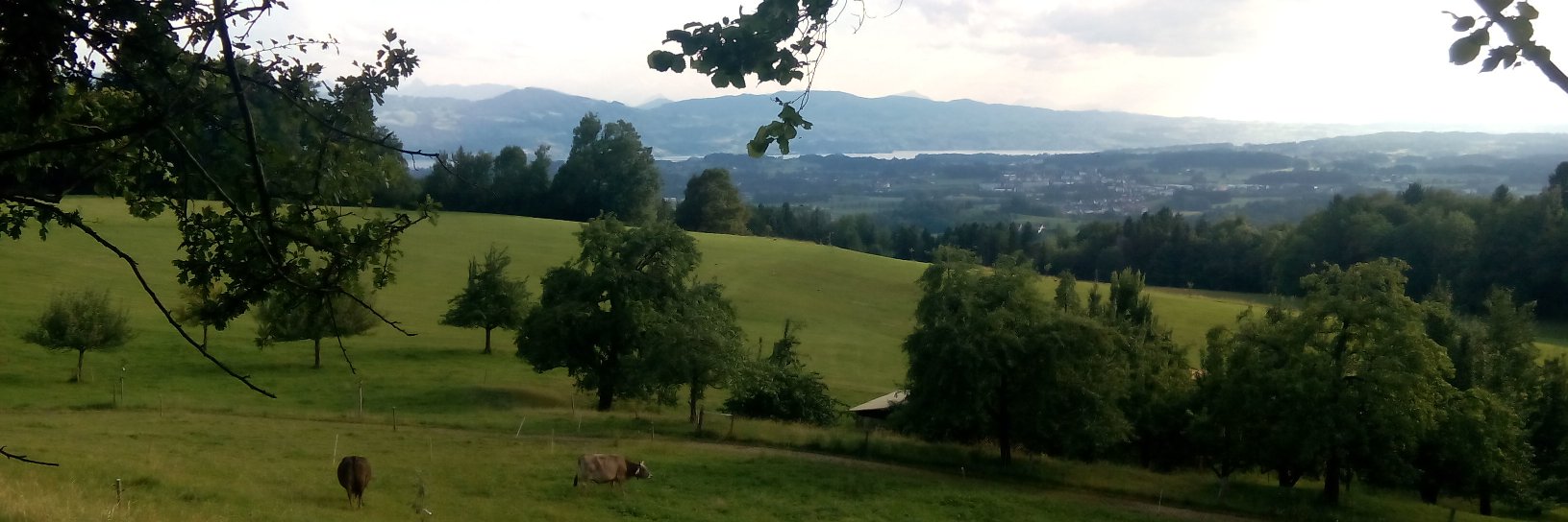 Antoni Clapés banner