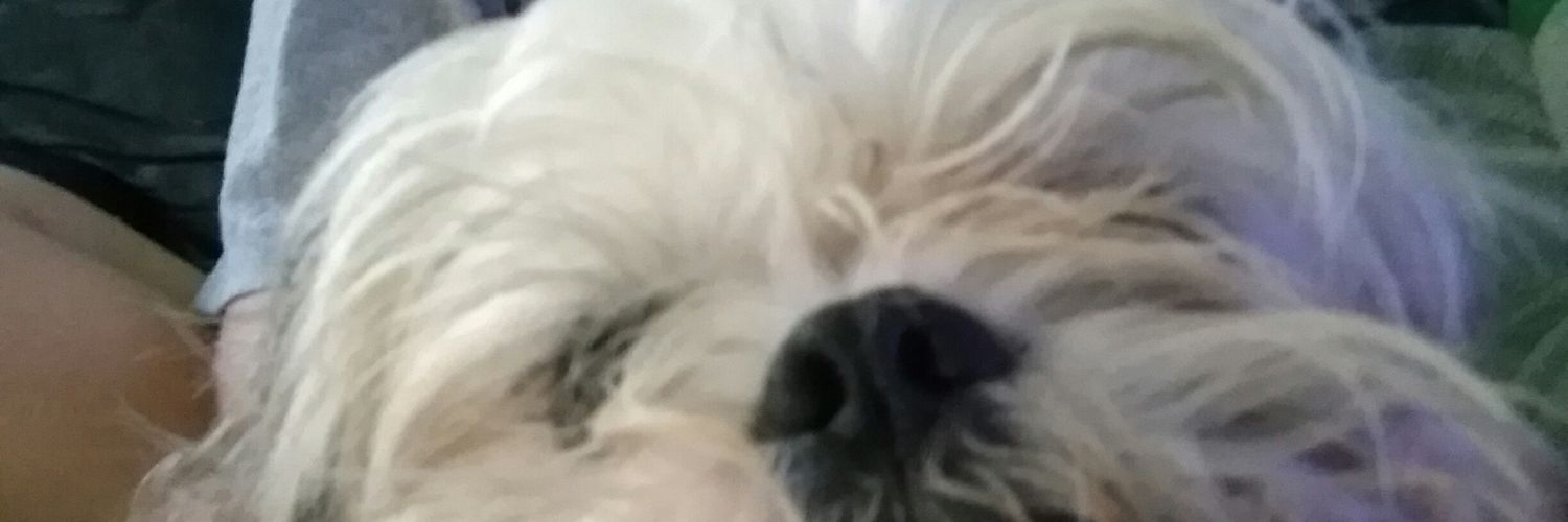 BubbieBuster's profile banner image