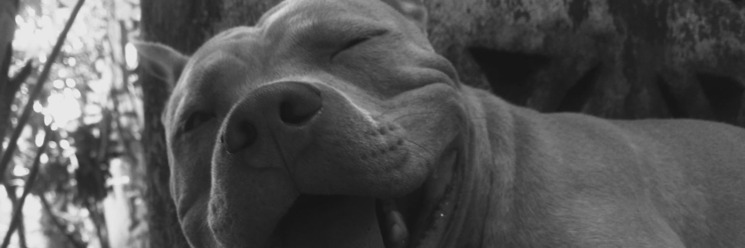 PYalibat's profile banner image