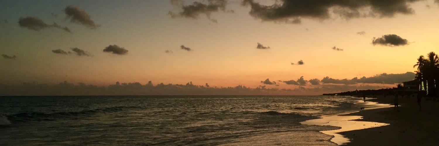 anfelique's profile banner image
