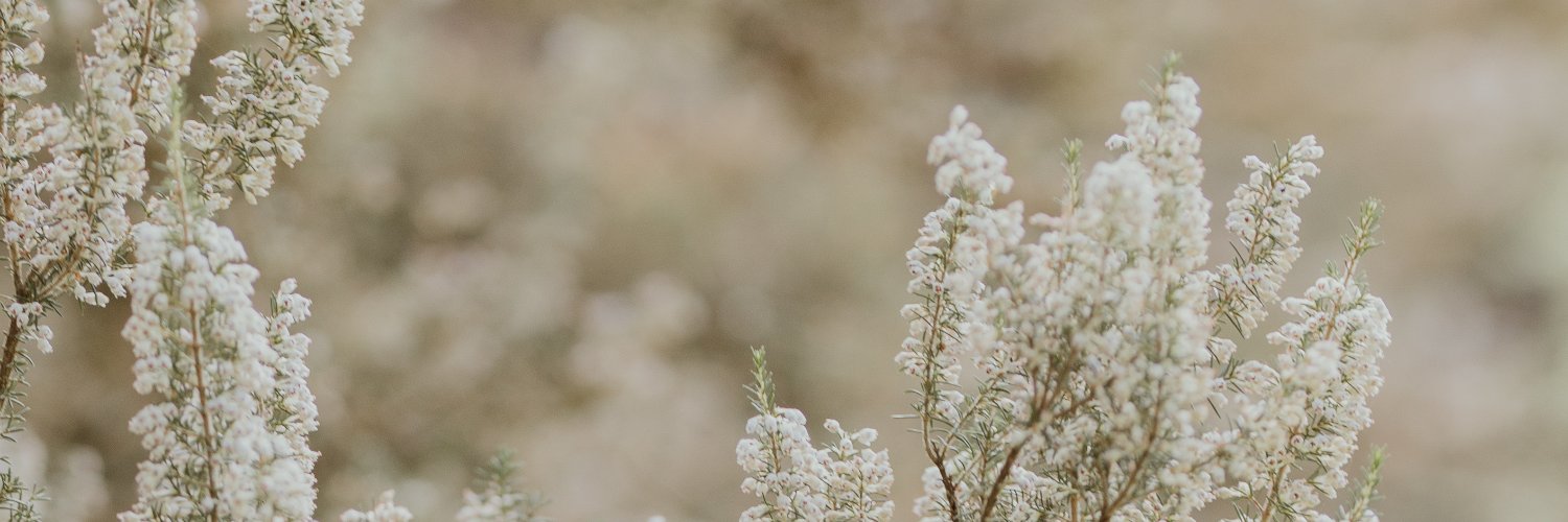 ParissaG_'s profile banner image
