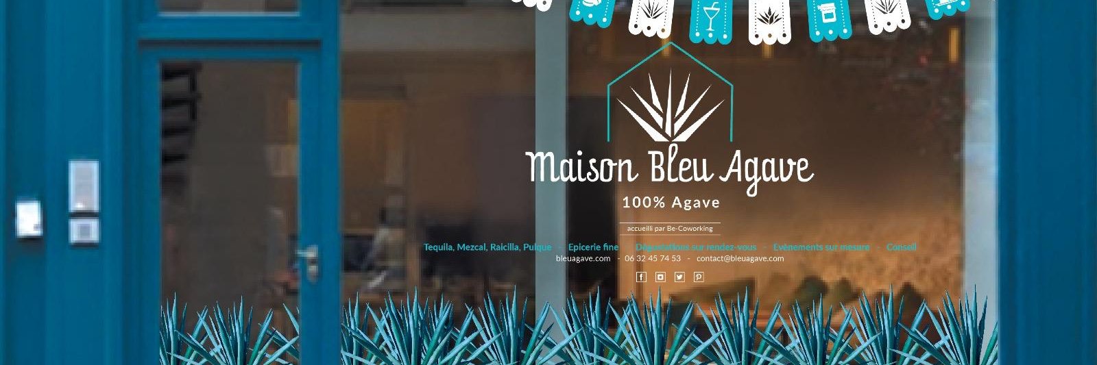 maisonbleuagave's profile banner image