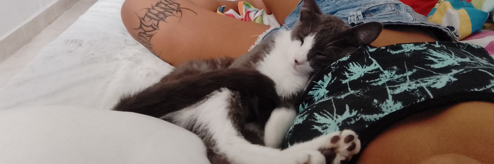 fselene_'s profile banner image