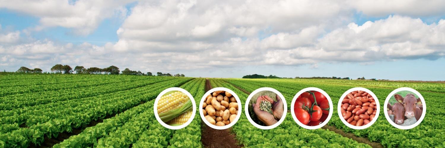 COFUPRO banner