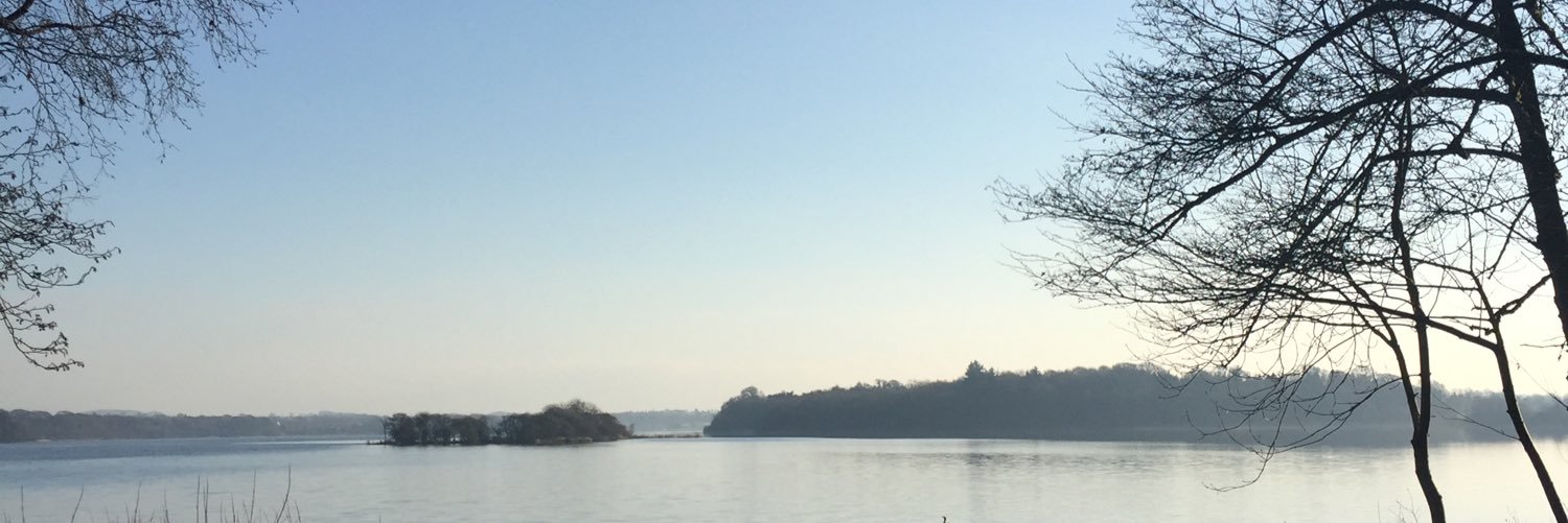 AidoM4's profile banner image