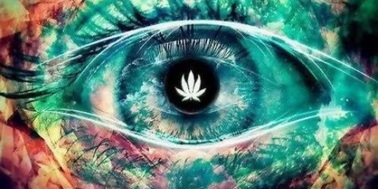 Jontree420's profile banner image