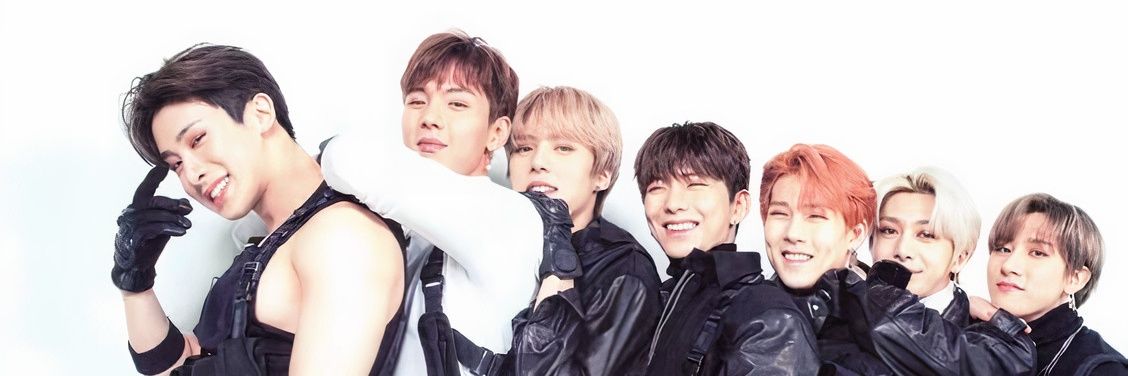 SonViki's profile banner image