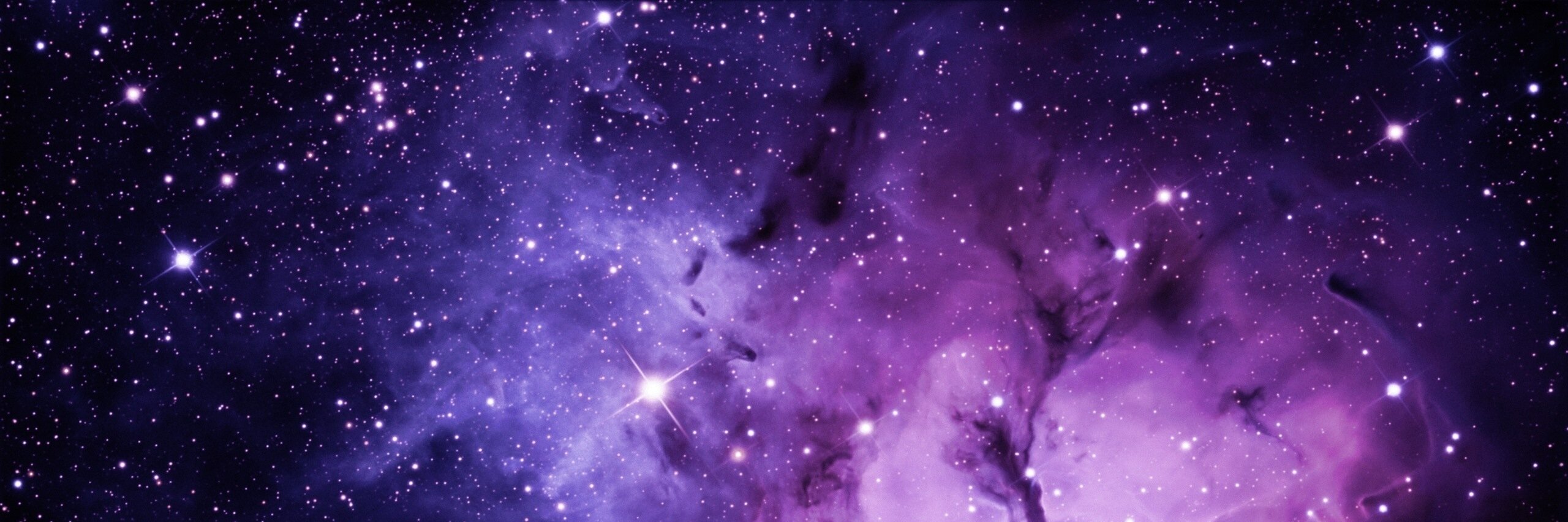 TheTorrieTimes's profile banner image