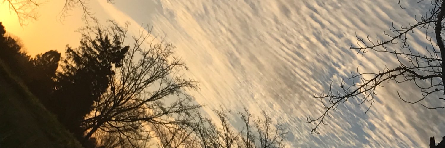 keepitgoofy's profile banner image
