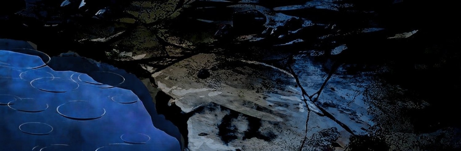 🩵💀𝘙𝘪𝘷𝘦𝘳 𝘓𝘦 𝘑𝘺𝘹💀🩵 banner