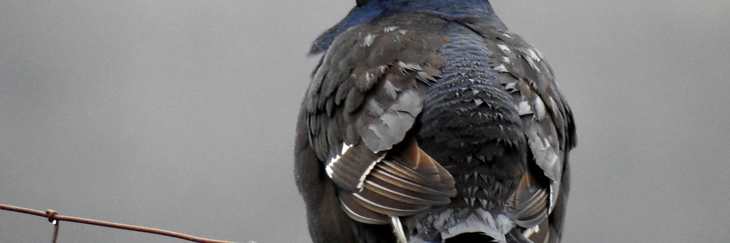 MSh2209's profile banner image
