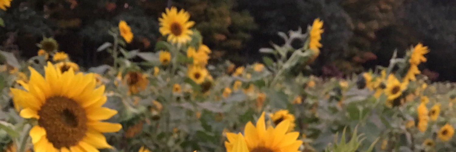 cARAbALSAM0's profile banner image