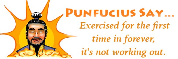 PunFuMaster's profile banner image