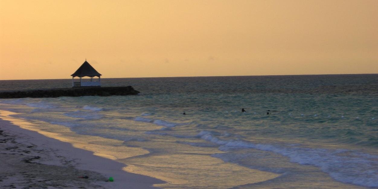 Gabrielle Swaby banner