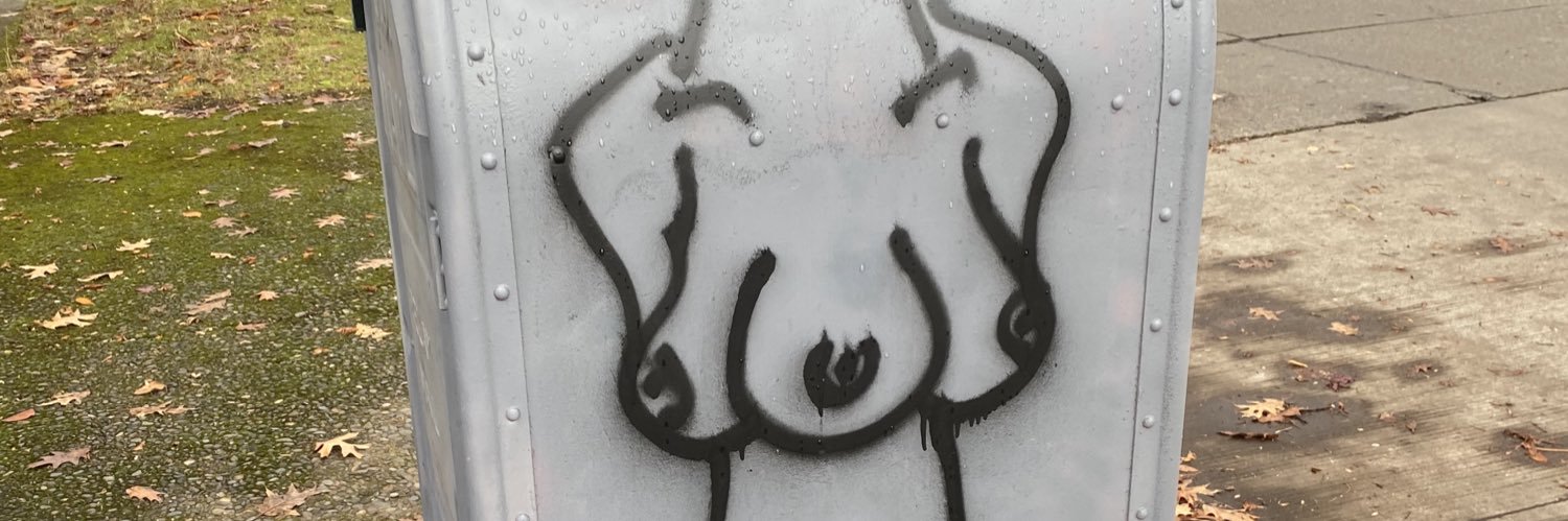 Tony Lasagna banner