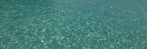 cbucketz_ Profile Banner