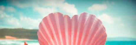 geckostylez's profile banner image