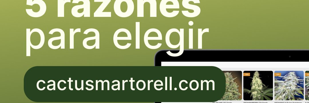 Cactusgrowshop's profile banner image