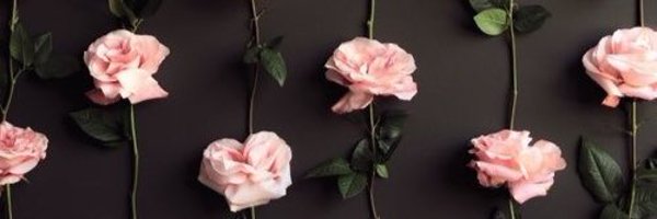 florleguizzamon's profile banner image