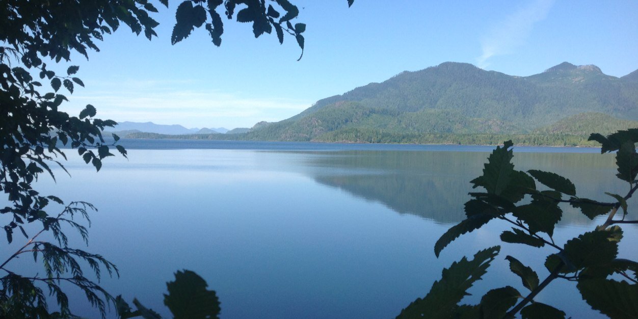 Jennifer Harris banner