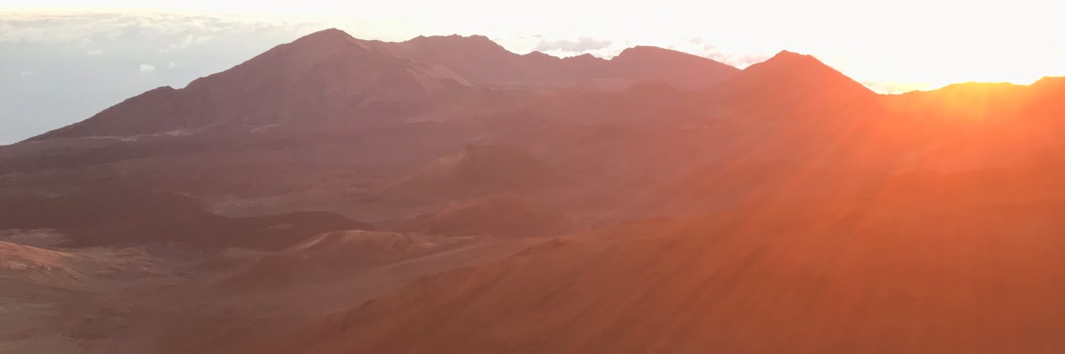 HancockJulia's profile banner image