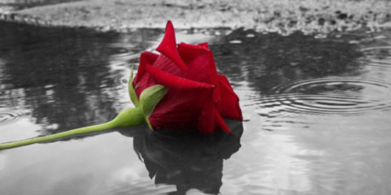 huda_222's profile banner image