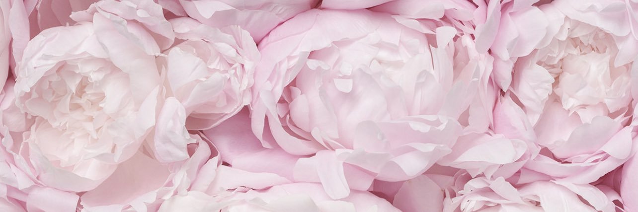 AngelaRakowicz's profile banner image