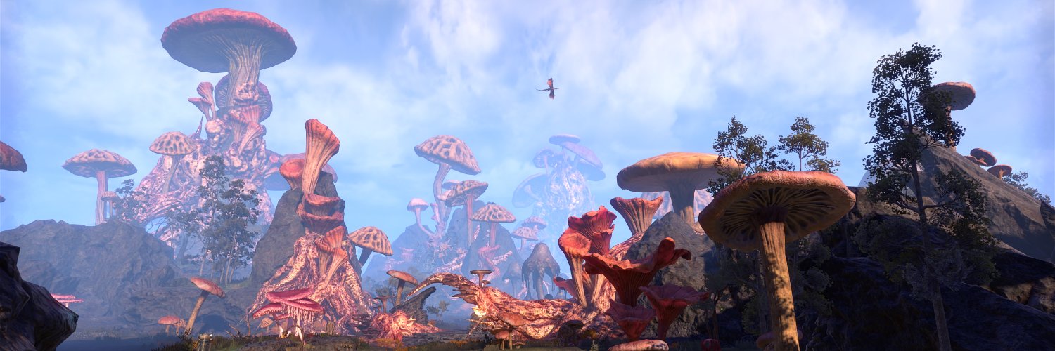teskraal's profile banner image