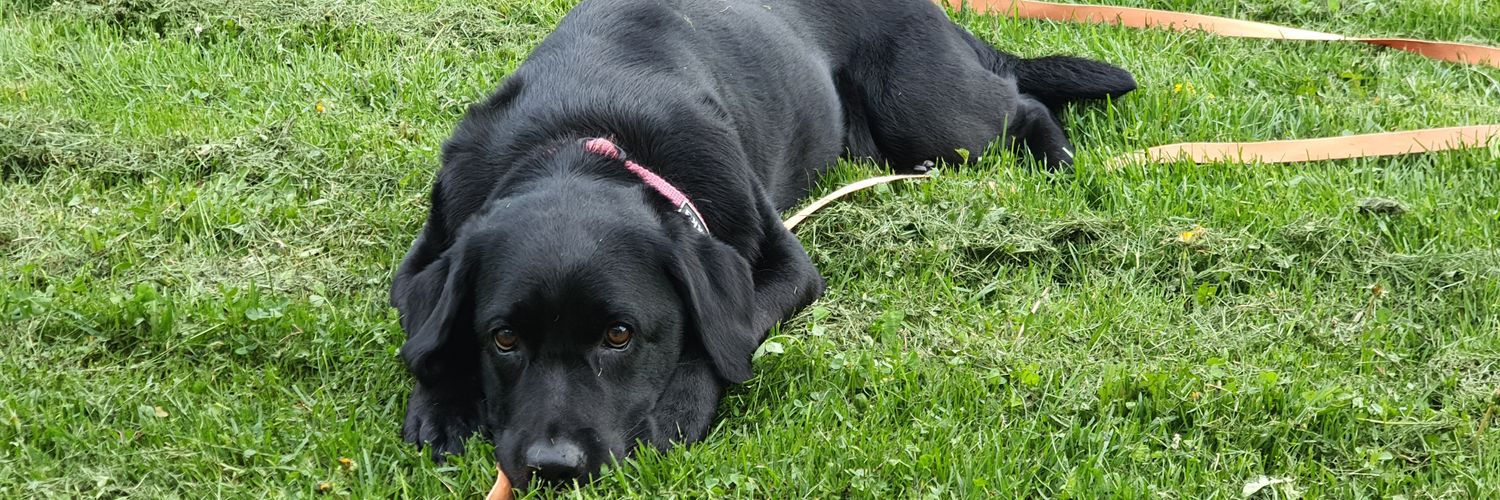 Juha-Matti Rintala 🇫🇮 banner