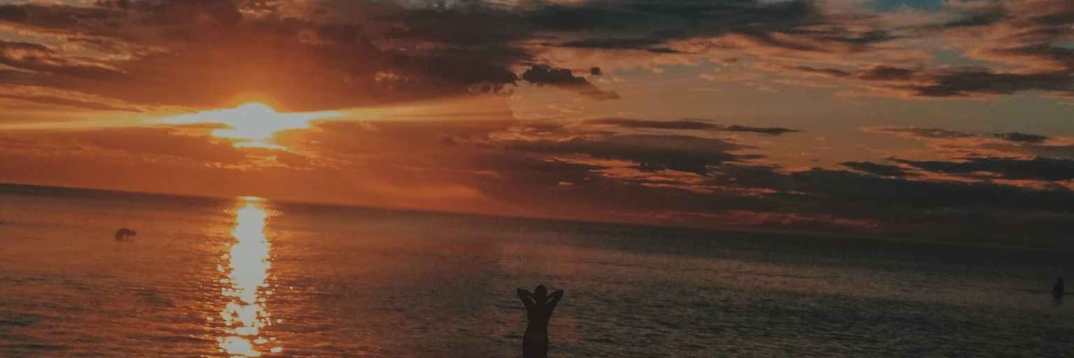 SuisAndrea's profile banner image