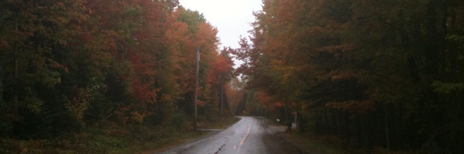 Steven Roiphe banner