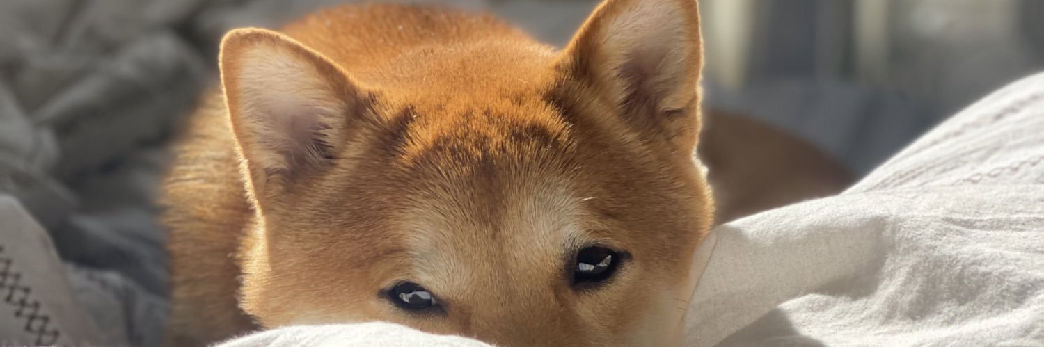 BatFPS's profile banner image