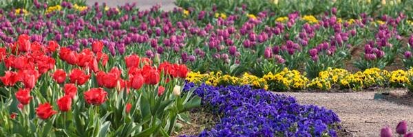 Michelle__McKay's profile banner image