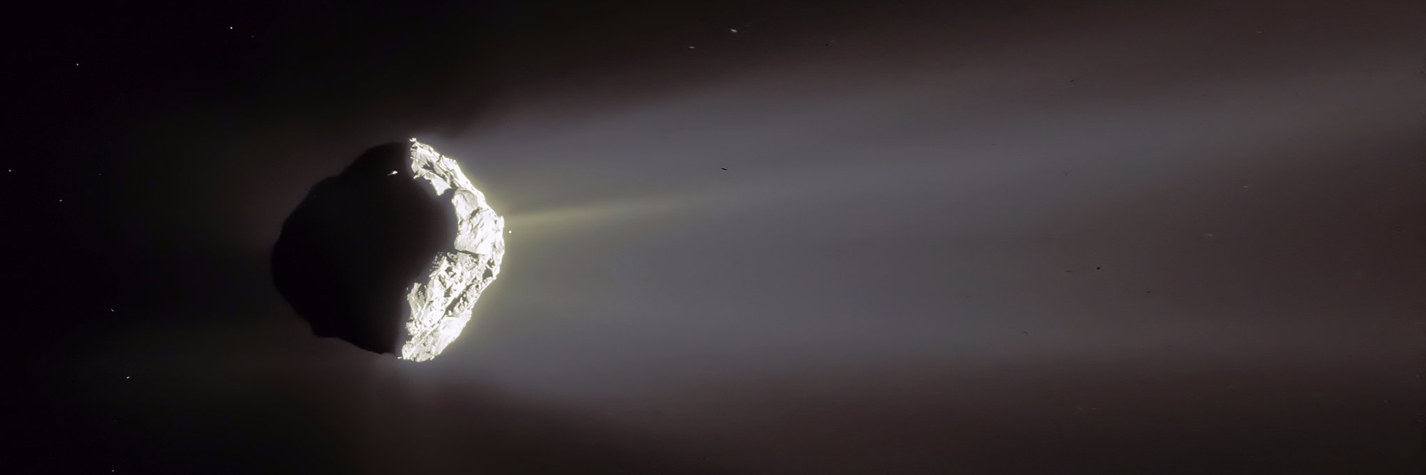 Dr. John Noonan banner