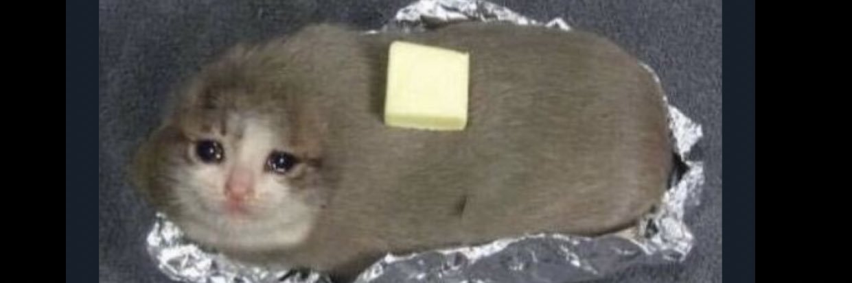 Chlo banner