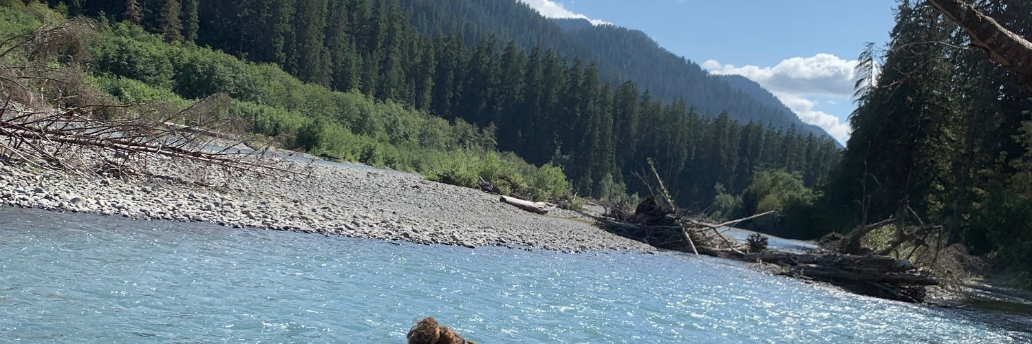 msyearg's profile banner image