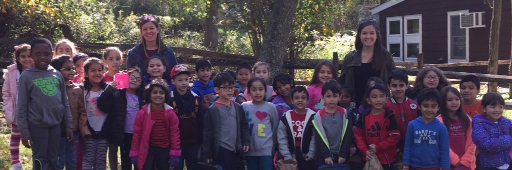 Mrs. Finocchiaro banner