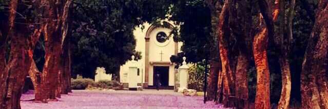 Tichafara Makwanya banner