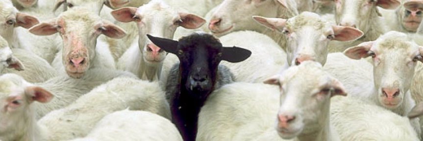 maria capitolina banner