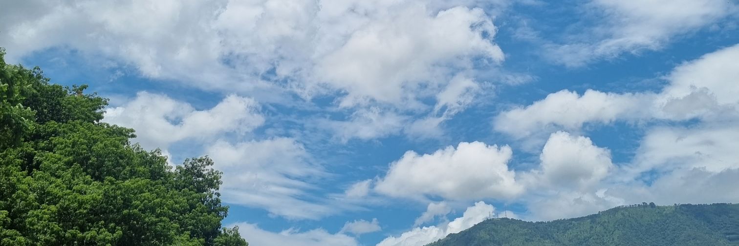 RenataTello's profile banner image